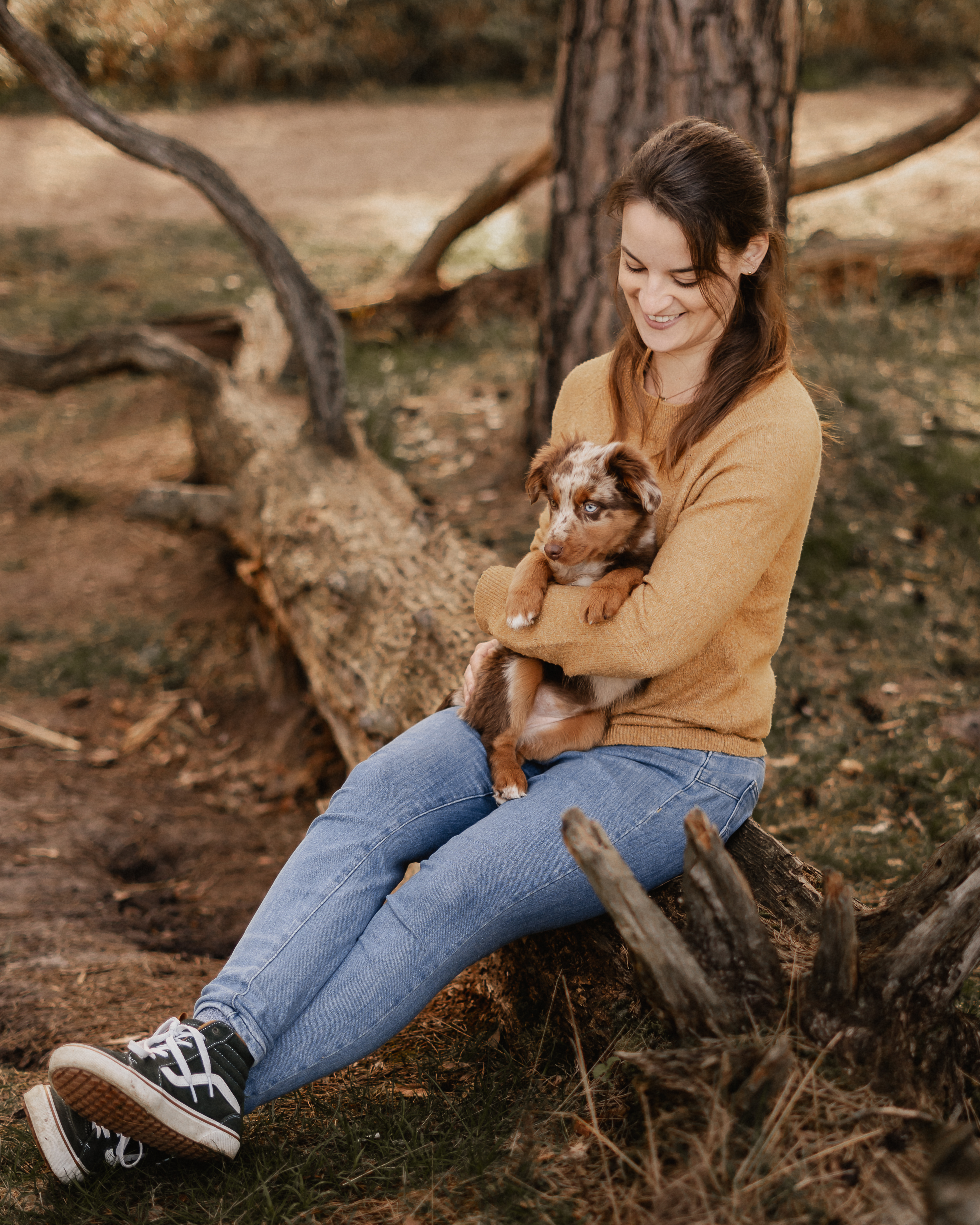Mensch & Hund