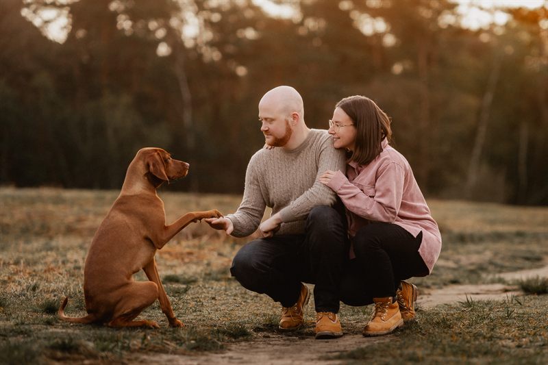 Paare mit Hund
