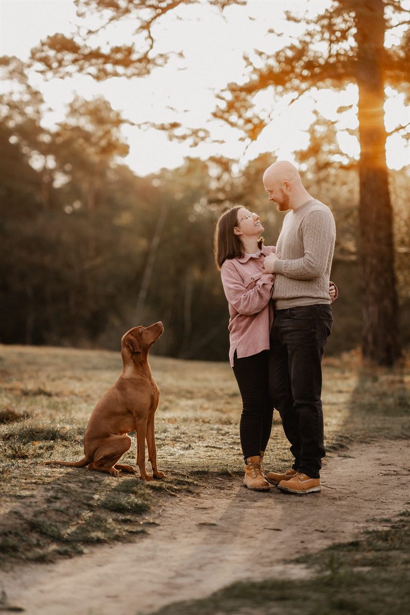 Paare mit Hund
