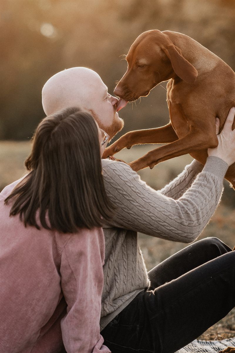 Paare mit Hund