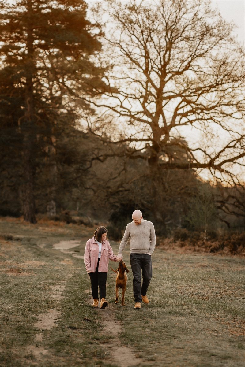 Paare mit Hund