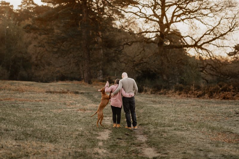 Paare mit Hund