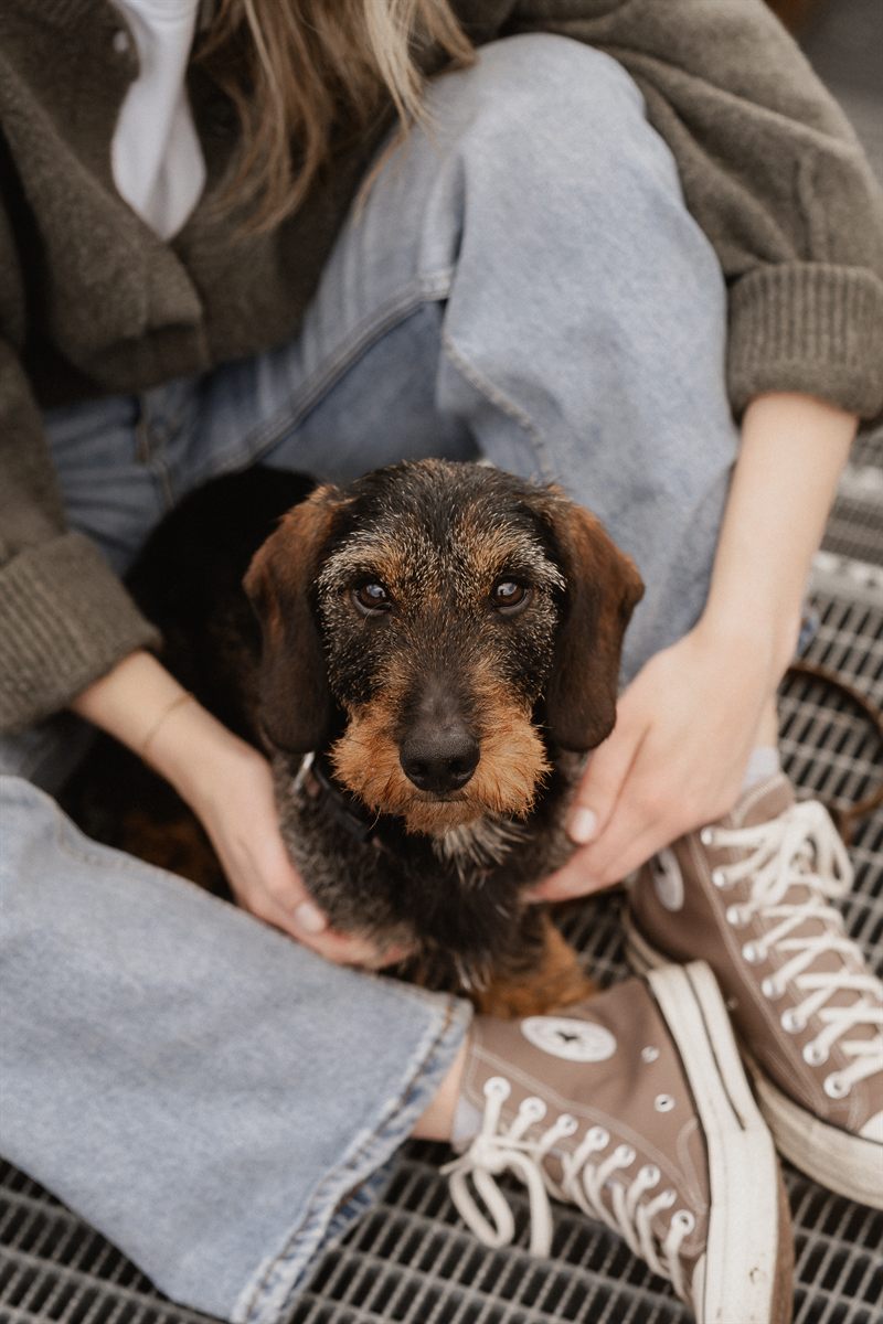 Mensch und Hund